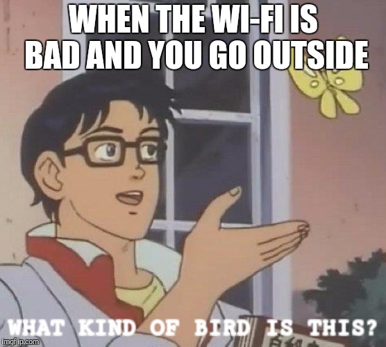Is This A Pigeon | WHEN THE WI-FI IS BAD AND YOU GO OUTSIDE; WHAT KIND OF BIRD IS THIS? | image tagged in is this a pigeon | made w/ Imgflip meme maker