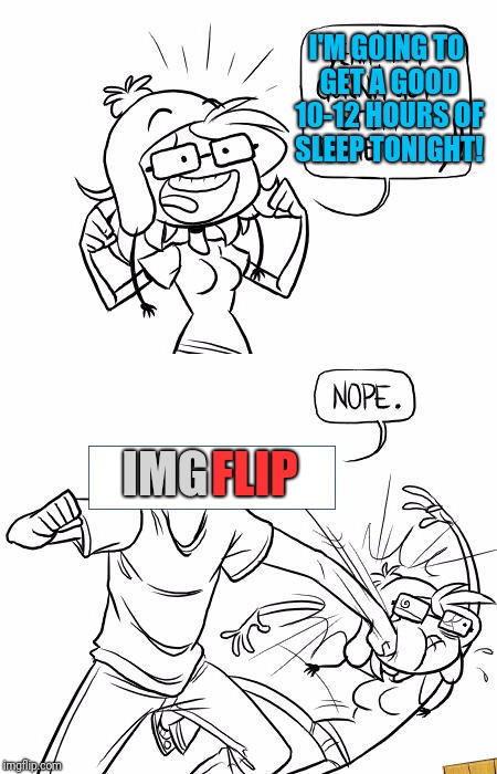 My entire life in a meme | I'M GOING TO GET A GOOD 10-12 HOURS OF SLEEP TONIGHT! FLIP; IMG | image tagged in nope blank,memes | made w/ Imgflip meme maker
