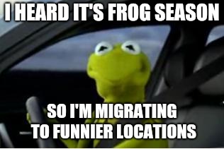 Nature is so majestic! | I HEARD IT'S FROG SEASON; SO I'M MIGRATING TO FUNNIER LOCATIONS | image tagged in kermit the frog | made w/ Imgflip meme maker
