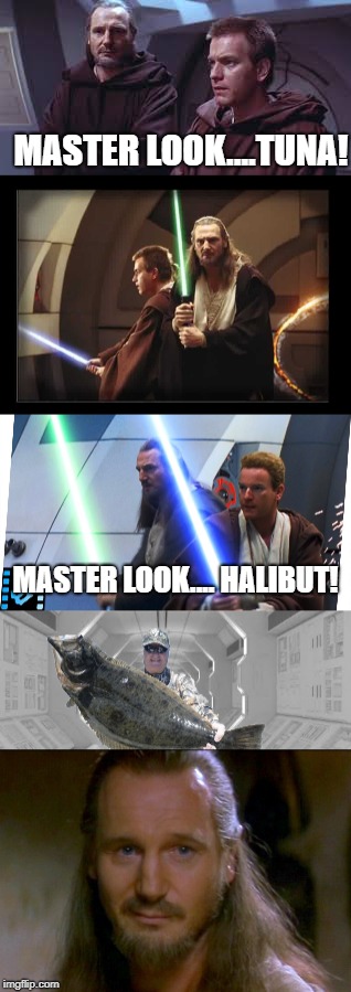 MASTER LOOK....TUNA! MASTER LOOK.... HALIBUT! | made w/ Imgflip meme maker