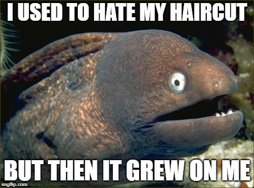 Sorry... I'll see myself out! | I USED TO HATE MY HAIRCUT; BUT THEN IT GREW ON ME | image tagged in memes,bad joke eel | made w/ Imgflip meme maker