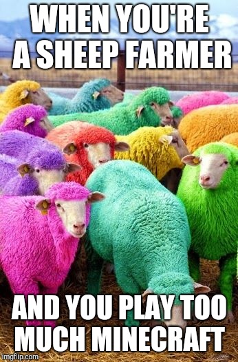 Too much Minecraft? | WHEN YOU'RE A SHEEP FARMER; AND YOU PLAY TOO MUCH MINECRAFT | image tagged in too much minecraft | made w/ Imgflip meme maker