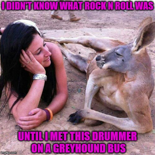 Kangaroo with girl | I DIDN'T KNOW WHAT ROCK N ROLL WAS; UNTIL I MET THIS DRUMMER ON A GREYHOUND BUS | image tagged in kangaroo with girl | made w/ Imgflip meme maker