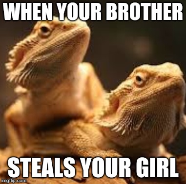 that time... | WHEN YOUR BROTHER; STEALS YOUR GIRL | image tagged in dragon,memes,stealing | made w/ Imgflip meme maker