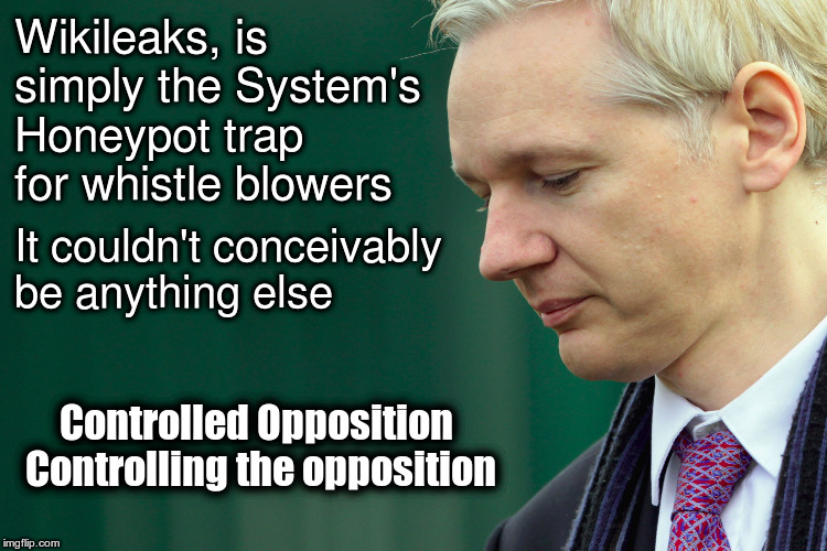 Wikileaks Controlled opposition. | Wikileaks, is simply the System's Honeypot trap for whistle blowers; It couldn't conceivably be anything else; Controlled Opposition Controlling the opposition | image tagged in wikileaks,controlled opposition,julian assange,rabit hole | made w/ Imgflip meme maker