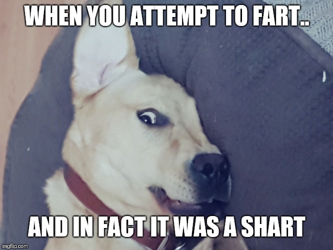 WHEN YOU ATTEMPT TO FART.. AND IN FACT IT WAS A SHART | image tagged in kemp | made w/ Imgflip meme maker