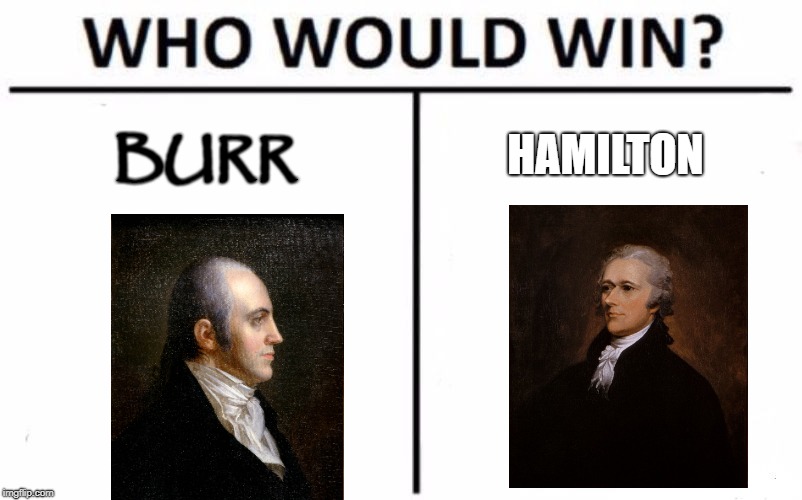 Who Would Win? | BURR; HAMILTON | image tagged in memes,who would win | made w/ Imgflip meme maker