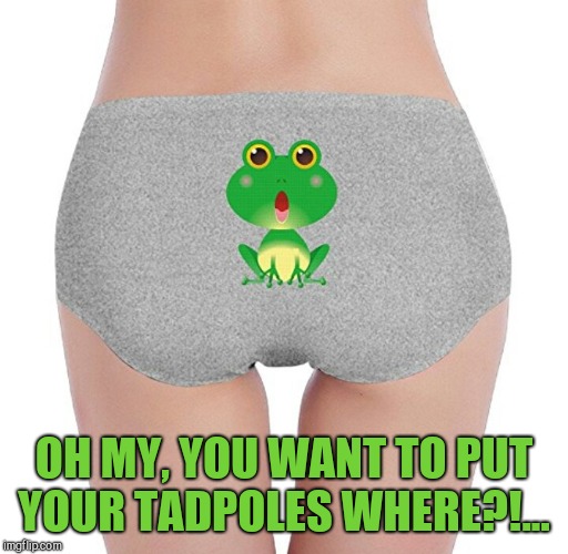 Frog Week, June 4-10, a JBmemegeek & giveuahint event!  | OH MY, YOU WANT TO PUT YOUR TADPOLES WHERE?!... | image tagged in frog week,jbmemegeek,giveuahint,memes,frogs,panties | made w/ Imgflip meme maker