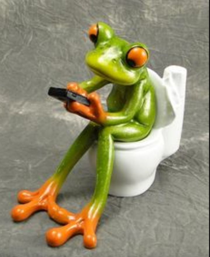 Frog on toilet  Blank Meme Template