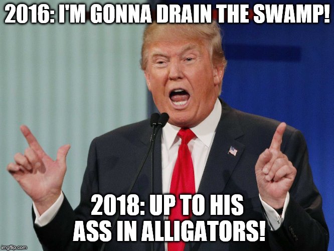 And up Schidt's Creek with a turd for a paddle! | 2016: I'M GONNA DRAIN THE SWAMP! 2018: UP TO HIS ASS IN ALLIGATORS! | image tagged in what if i told you donald trump,memes,donald trump,political meme,dump trump | made w/ Imgflip meme maker