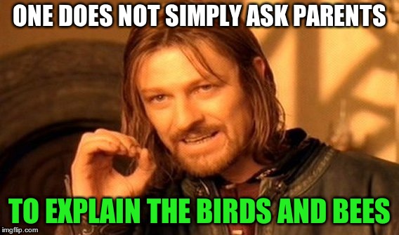 its bad enough when they ask you if you want them to.  | ONE DOES NOT SIMPLY ASK PARENTS; TO EXPLAIN THE BIRDS AND BEES | image tagged in memes,one does not simply | made w/ Imgflip meme maker