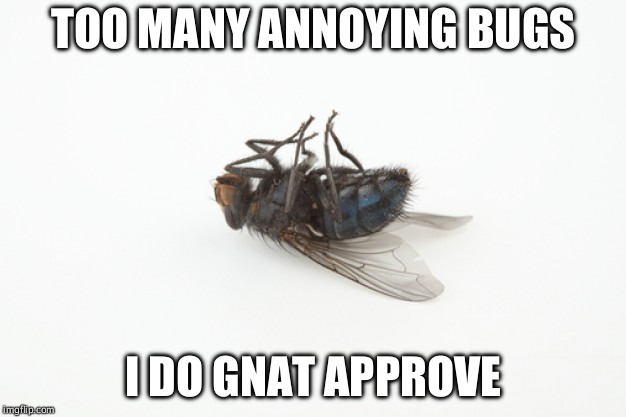 Summer is upon us! | TOO MANY ANNOYING BUGS; I DO GNAT APPROVE | image tagged in memes,flies,bugs,puns | made w/ Imgflip meme maker