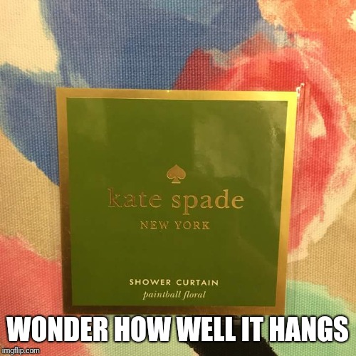 WONDER HOW WELL IT HANGS | image tagged in kate,spade,curtain | made w/ Imgflip meme maker