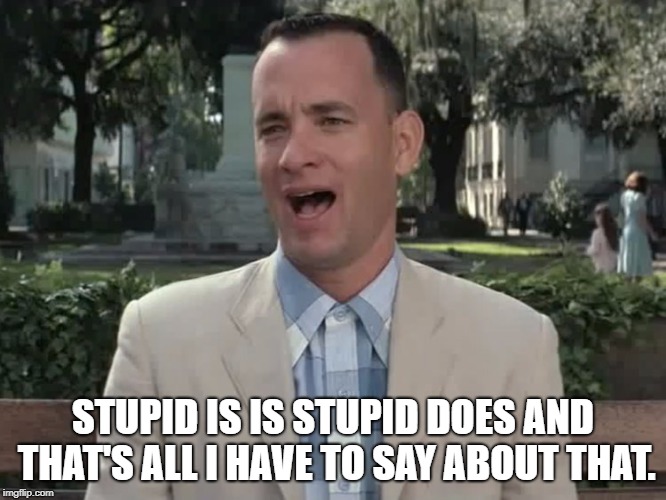 Forest Gump | STUPID IS IS STUPID DOES
AND THAT'S ALL I HAVE TO SAY ABOUT THAT. | image tagged in forest gump | made w/ Imgflip meme maker