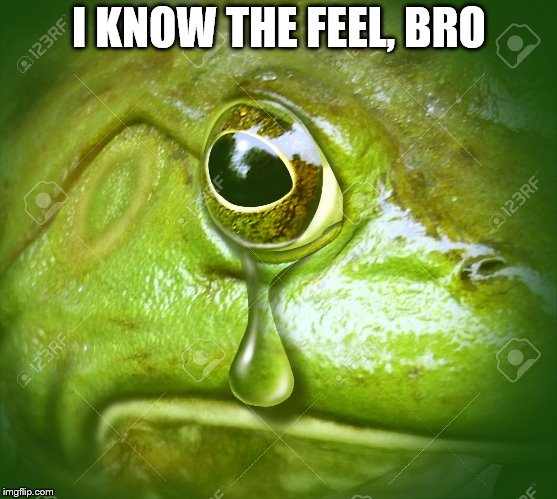 I KNOW THE FEEL, BRO | made w/ Imgflip meme maker