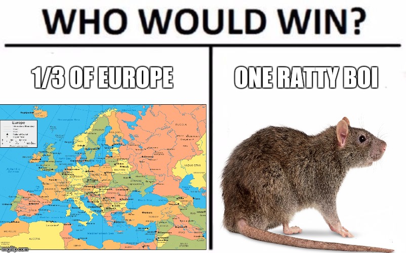 1/3 OF EUROPE; ONE RATTY BOI | image tagged in who would win,memes | made w/ Imgflip meme maker