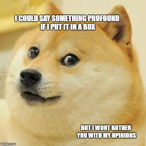 Doge Meme | I COULD SAY SOMETHING PROFOUND IF I PUT IT IN A BOX; BUT I WONT BOTHER YOU WITH MY OPINIONS | image tagged in memes,doge | made w/ Imgflip meme maker