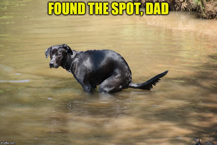 FOUND THE SPOT, DAD | made w/ Imgflip meme maker