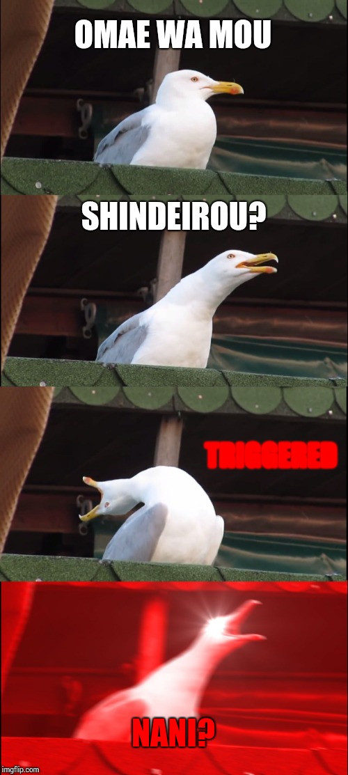 Omae wa mou shindeirou? | OMAE WA MOU; SHINDEIROU? TRIGGERED; NANI? | image tagged in memes,inhaling seagull | made w/ Imgflip meme maker