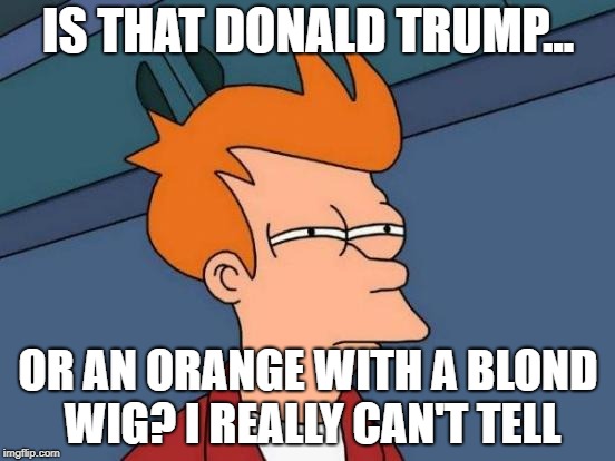 Futurama Fry Meme | IS THAT DONALD TRUMP... OR AN ORANGE WITH A BLOND WIG? I REALLY CAN'T TELL | image tagged in memes,futurama fry | made w/ Imgflip meme maker