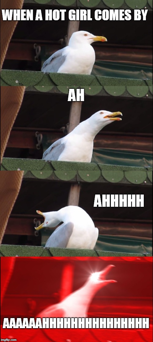 Inhaling Seagull Meme | WHEN A HOT GIRL COMES BY; AH; AHHHHH; AAAAAAHHHHHHHHHHHHHHH | image tagged in memes,inhaling seagull | made w/ Imgflip meme maker
