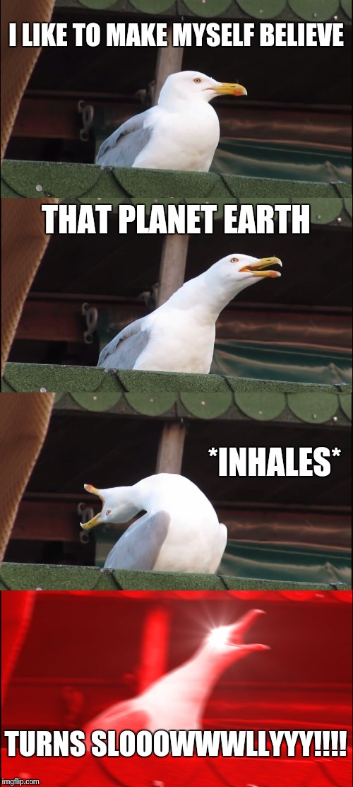 Inhaling Seagull Meme | I LIKE TO MAKE MYSELF BELIEVE THAT PLANET EARTH *INHALES* TURNS SLOOOWWWLLYYY!!!! | image tagged in memes,inhaling seagull | made w/ Imgflip meme maker