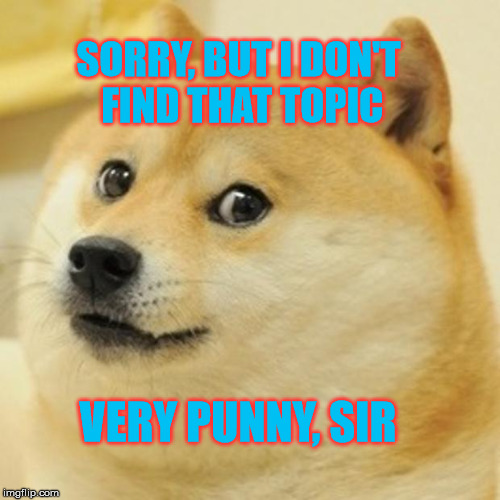 Doge Meme | SORRY, BUT I DON'T FIND THAT TOPIC VERY PUNNY, SIR | image tagged in memes,doge | made w/ Imgflip meme maker