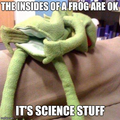 THE INSIDES OF A FROG ARE OK IT'S SCIENCE STUFF | made w/ Imgflip meme maker