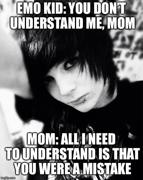 Understand what, exactly? | EMO KID: YOU DON’T UNDERSTAND ME, MOM; MOM: ALL I NEED TO UNDERSTAND IS THAT YOU WERE A MISTAKE | image tagged in memes | made w/ Imgflip meme maker