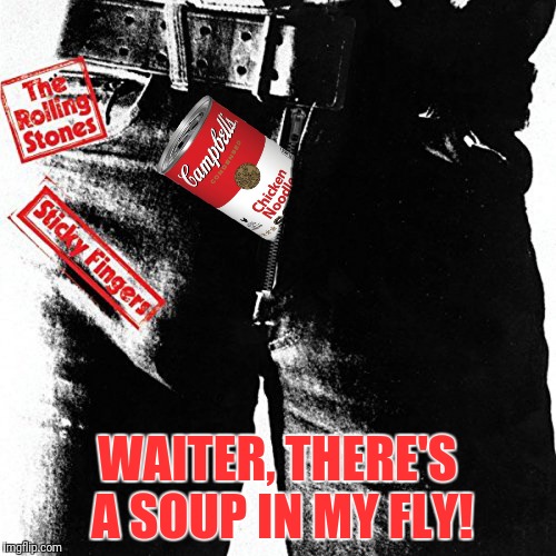 WAITER, THERE'S A SOUP IN MY FLY! | made w/ Imgflip meme maker