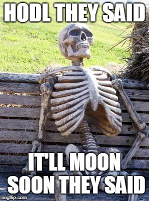 Waiting Skeleton Meme | HODL THEY SAID; IT'LL MOON SOON THEY SAID | image tagged in memes,waiting skeleton | made w/ Imgflip meme maker