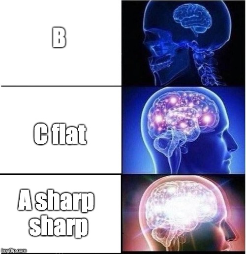 Expanding Brain | C flat; A sharp sharp | image tagged in expanding brain,memes | made w/ Imgflip meme maker