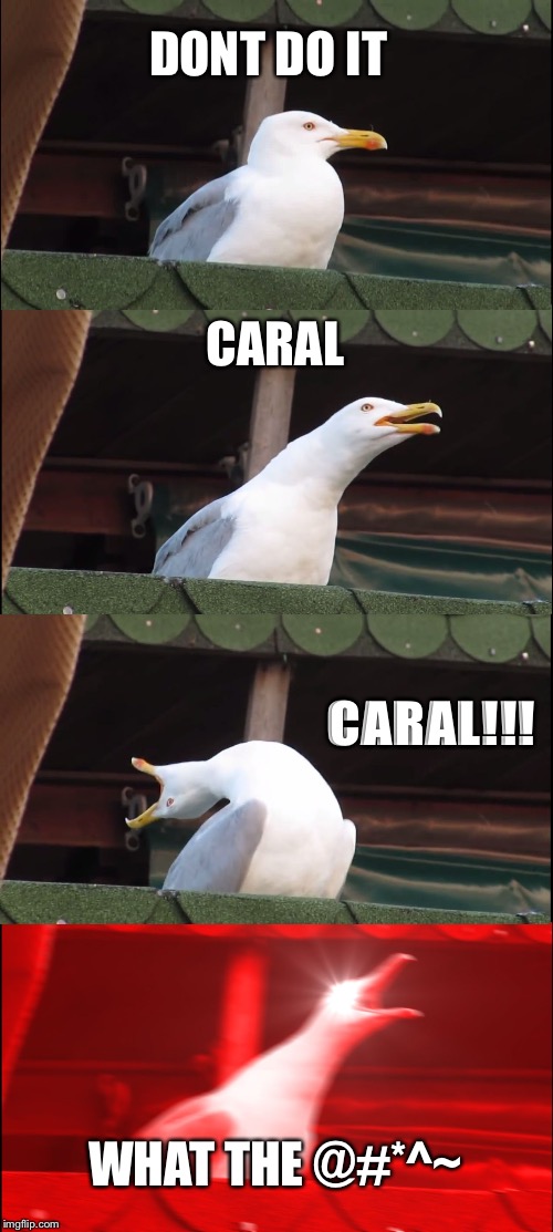 Inhaling Seagull | DONT DO IT; CARAL; CARAL!!! WHAT THE @#*^~ | image tagged in memes,inhaling seagull | made w/ Imgflip meme maker