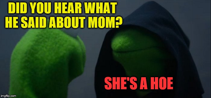 Evil Kermit Meme | DID YOU HEAR WHAT HE SAID ABOUT MOM? SHE'S A HOE | image tagged in memes,evil kermit | made w/ Imgflip meme maker
