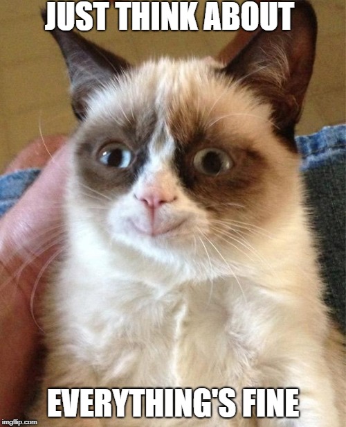 Grumpy Cat Happy | JUST THINK ABOUT; EVERYTHING'S FINE | image tagged in memes,grumpy cat happy,grumpy cat | made w/ Imgflip meme maker
