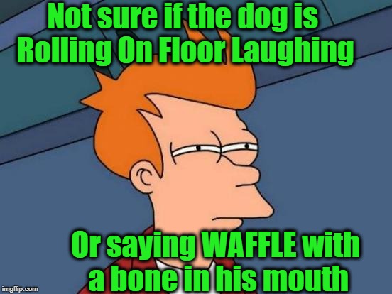 Futurama Fry Meme | Not sure if the dog is Rolling On Floor Laughing Or saying WAFFLE with a bone in his mouth | image tagged in memes,futurama fry | made w/ Imgflip meme maker