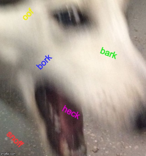 oof; bark; bork; snoff; heck | image tagged in heck | made w/ Imgflip meme maker