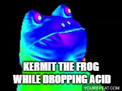 mlg frog | KERMIT THE FROG WHILE DROPPING ACID | image tagged in mlg frog | made w/ Imgflip meme maker