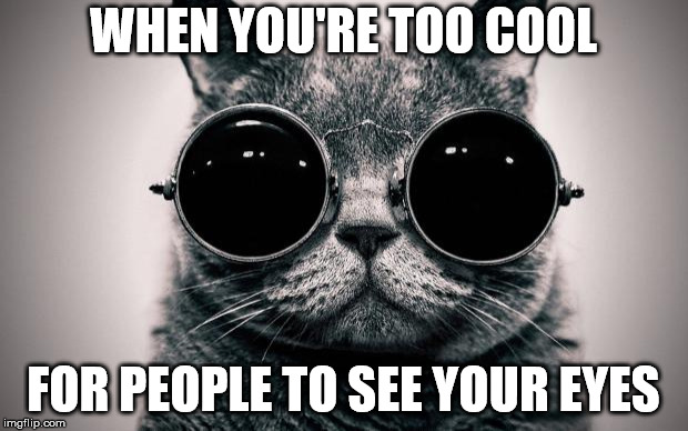 cat sunglasses | WHEN YOU'RE TOO COOL; FOR PEOPLE TO SEE YOUR EYES | image tagged in cat sunglasses | made w/ Imgflip meme maker