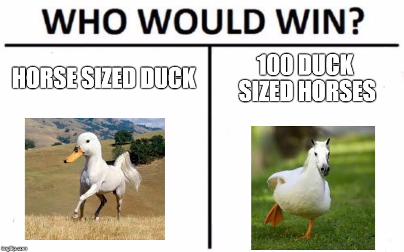 Who Would Win? | HORSE SIZED DUCK; 100 DUCK SIZED HORSES | image tagged in memes,who would win | made w/ Imgflip meme maker