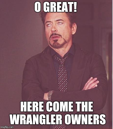 Face You Make Robert Downey Jr | O GREAT! HERE COME THE WRANGLER OWNERS | image tagged in memes,face you make robert downey jr | made w/ Imgflip meme maker