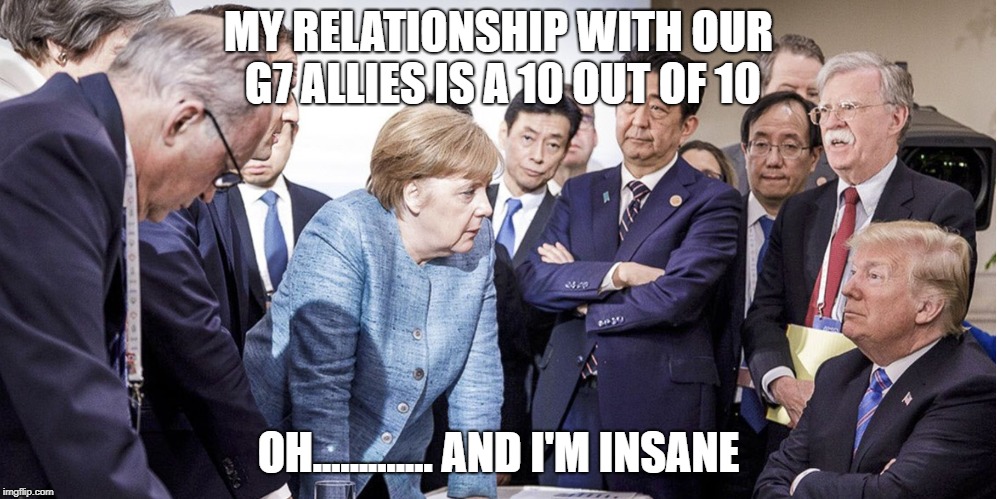  MY RELATIONSHIP WITH OUR G7 ALLIES IS A 10 OUT OF 10; OH............. AND I'M INSANE | image tagged in angela | made w/ Imgflip meme maker
