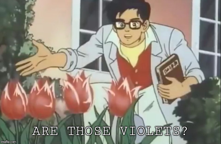 ARE THOSE VIOLETS? | image tagged in are those violets | made w/ Imgflip meme maker