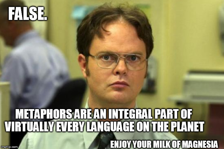FALSE. METAPHORS ARE AN INTEGRAL PART OF VIRTUALLY EVERY LANGUAGE ON THE PLANET ENJOY YOUR MILK OF MAGNESIA | made w/ Imgflip meme maker