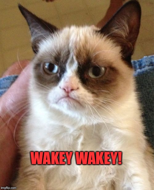 Grumpy Cat Meme | WAKEY WAKEY! | image tagged in memes,grumpy cat | made w/ Imgflip meme maker