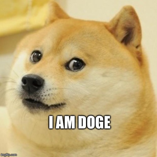 Doge | I AM DOGE | image tagged in memes,doge | made w/ Imgflip meme maker
