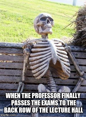 Waiting Skeleton Meme | WHEN THE PROFESSOR FINALLY PASSES THE EXAMS TO THE BACK ROW OF THE LECTURE HALL | image tagged in memes,waiting skeleton | made w/ Imgflip meme maker