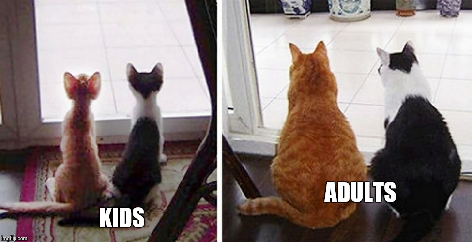 fat cats | KIDS; ADULTS | image tagged in fat cats | made w/ Imgflip meme maker