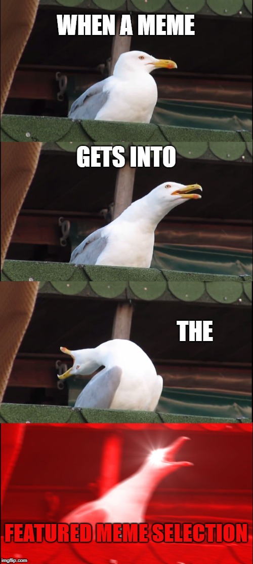 Inhaling Seagull Meme | WHEN A MEME; GETS INTO; THE; FEATURED MEME SELECTION | image tagged in memes,inhaling seagull | made w/ Imgflip meme maker