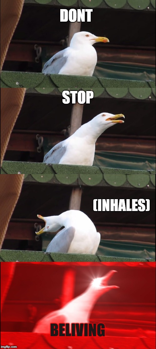 Inhaling Seagull Meme | DONT; STOP; (INHALES); BELIVING | image tagged in memes,inhaling seagull | made w/ Imgflip meme maker